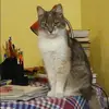 Отзыв от Венера Нестерова